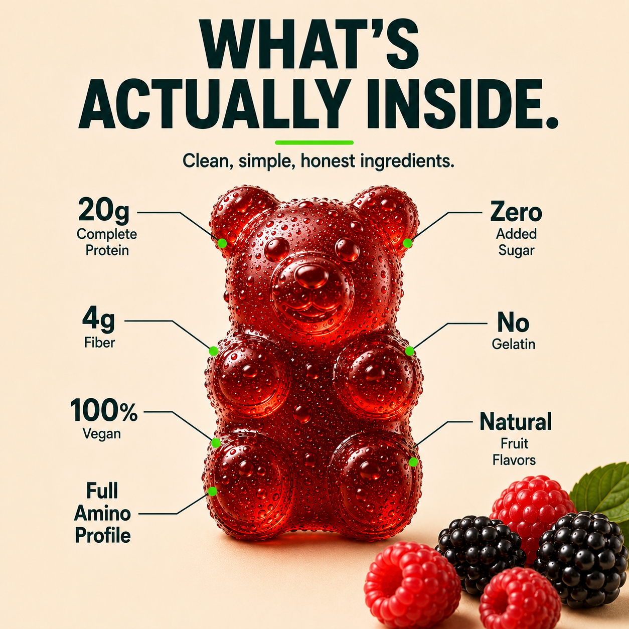 The Protein Gummy Bear.